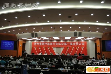 貴州省醫療器械行業協會正式成立，擘畫產業發展新藍圖